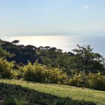 imagen de whatsapp 2025 02 05 a las 12.56.32 6e6d88b0