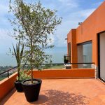 imagen de whatsapp 2025 02 05 a las 12.57.41 ddc16766